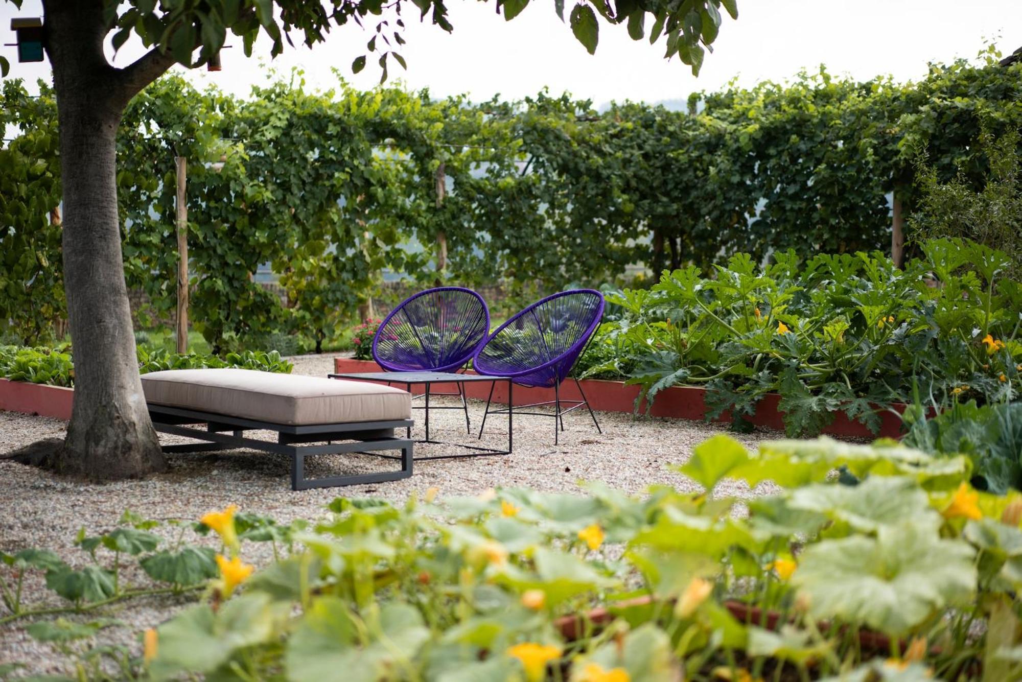 Vigne Di Fagnano 1709 Eco Relais Guest House Santo Stefano Belbo Exterior foto